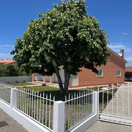 Moradia Alegre No Centro Da Vila Da Tocha. エクステリア 写真