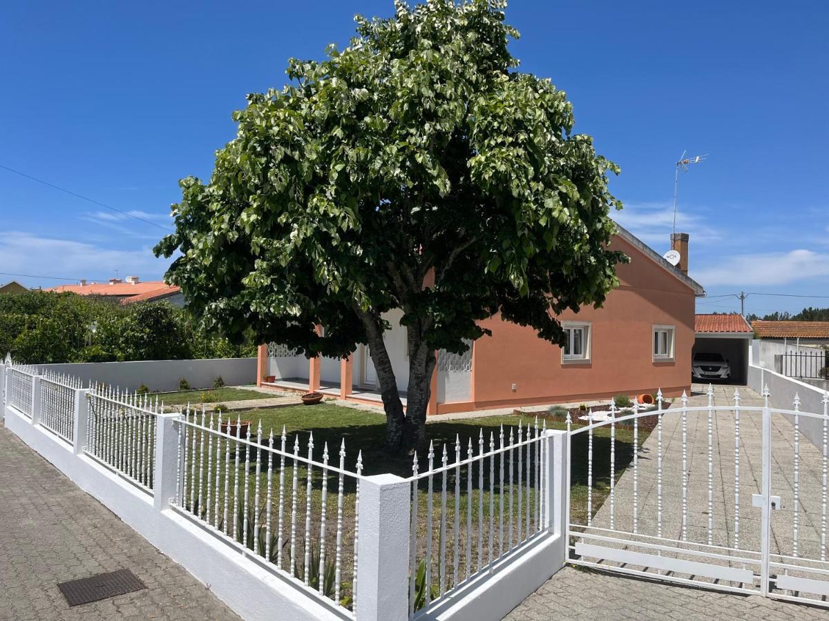 Moradia Alegre No Centro Da Vila Da Tocha. エクステリア 写真